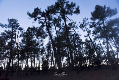 20 09 05 augustin charlotte  77 