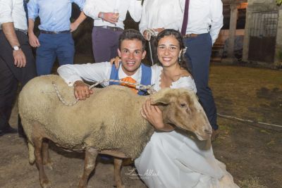 19 08 mart colin  83 